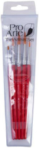 PRO ARTE ACADEMY BRUSH AWA WALLET 5 BRUSH SET AWA