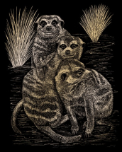 R&L MEER CATS SCRAPERFOIL GOLD GOLF22