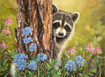 R&L SECRET ADMIRER LARGE JUNIOR PAINT BY NUMBERS PJL48