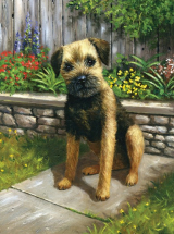 R&L GARDEN PUPPY SMALL JUNIOR PAINT BY NUMBERS PJS61