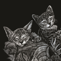 R&L TABBYCAT & KITTENS SCRAPERFOIL SILVER SILF13