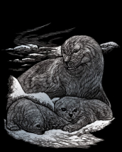 R&L SEALS & PUP SCRAPERFOIL SILVER SILF16