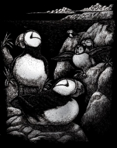 R&L PUFFINS SCRAPERFOIL SILVER SILF24