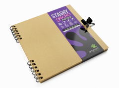 Stashy Gecko Portfolio