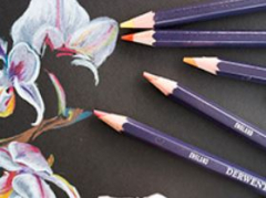 Derwent Studio Pencil Sets
