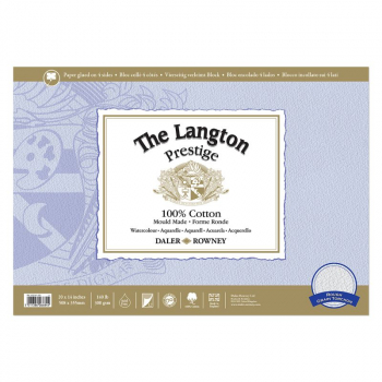 DR LANGTON PRESTIGE WC ROUGH BLOCK 20X14Inch 300G D433341420