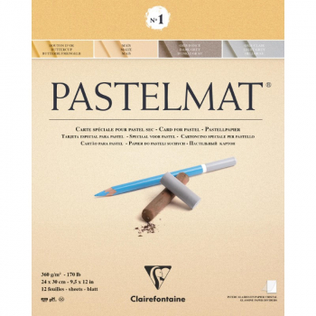 CLAIREFONTAINE NO 1 PASTELMAT PAD 24X30CM 12SH 360G 96017C