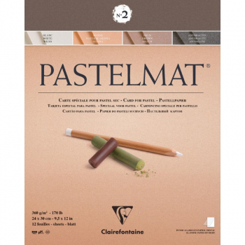 CLAIREFONTAINE NO 2 PASTELMAT PAD 24X30CM 12SH 360G 96007C