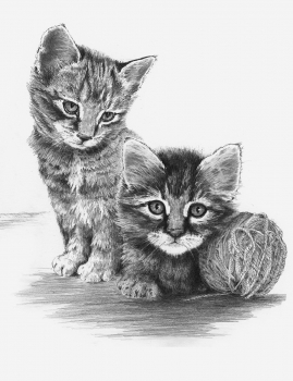 R&L SKETCHING MADE EASY - KITT ENS WITH BALL OF YARN SKBN26