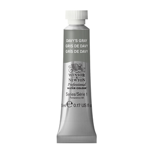 WN AWC 5ml DAVY'S GRAY ARTIST WATERCOLOUR 0102217