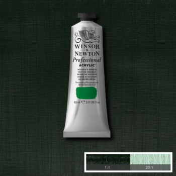 WN ARTIST ACRYLIC 60ml HOOKERS GREEN 2320311
