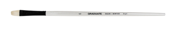 212141006 BRISTLE BRIGHT 6 DR GRADUATE BRUSH