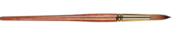 PRO ARTE S007 PROLENE PLUS ROUND BRUSH 007-16 50655038