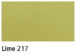 CANFORD PAPER A4 LIME 402290217