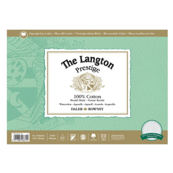 DR LANGTON PRESTIGE WC CP 300G BLOCK 14X10Inch 12SH D433331410