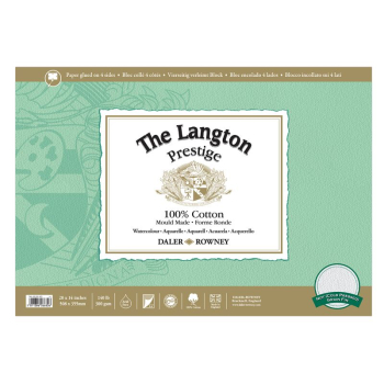 DR LANGTON PRESTIGE WC CP 300G BLOCK 20X14Inch 12SH D433331420