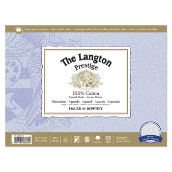 DR LANGTON PRESTIGE WC ROUGH BLOCK 12X9 300G 12S D433340912