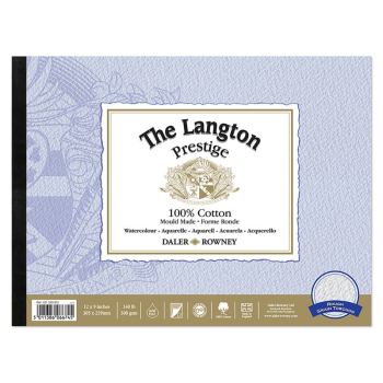 DR LANGTON PRESTIGE WC ROUGH PAD 12X9Inch 300G 12SH D431340912
