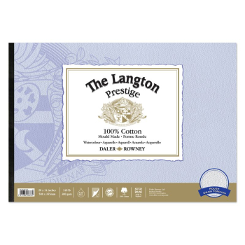 DR LANGTON PRESTIGE WC ROUGH PAD 20X14Inch 300G 12S D431341420