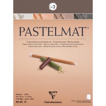 CLAIREFONTAINE NO 2 PASTELMAT PAD 18X24CM 12SH 360G 96005C