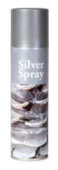 ORNAMENTAL LACQUER SPRAY - SILVER