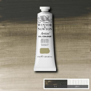 WN ARTIST OIL COLOUR 37ml DAVY'S GRAY    GREY 1214217