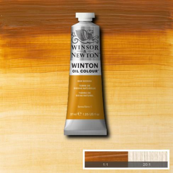 WN WINTON 37ml RAW SIENNA 8840596