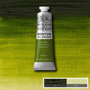 WN WINTON 37ml SAP GREEN 1414599