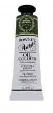 DR ARTIST OIL 38ml  HOOKER'S GREEN NO. 2 110038354
