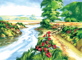 R&L POPPY FIELD LARGE PAINT BY NUMBERS PAL13