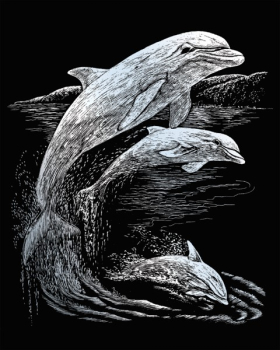 R&L DOLPHINS SCRAPERFOIL SILVER SILF11