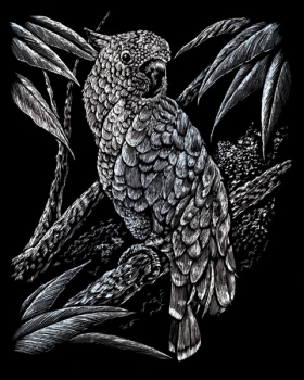 R&L COCKATOO SCRAPERFOIL SILVER SILF18