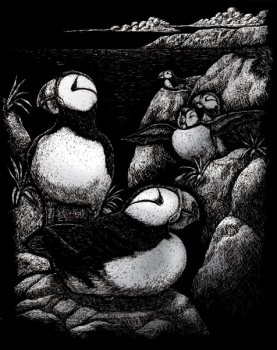 R&L PUFFINS SCRAPERFOIL SILVER SILF24