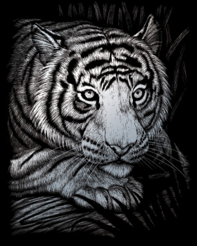 R&L WHITE TIGER SCRAPERFOIL SILVER SILF38