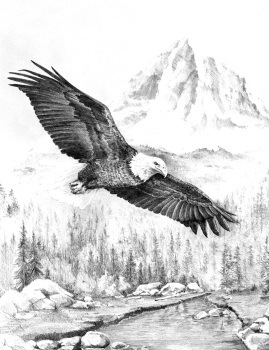 R&L SKETCHING MADE EASY - SOARING EAGLE SKBN28