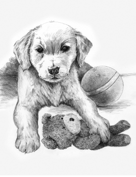 R&L SKETCHING MADE EASY - PUPPY WITH TEDDY BEAR SKBN32